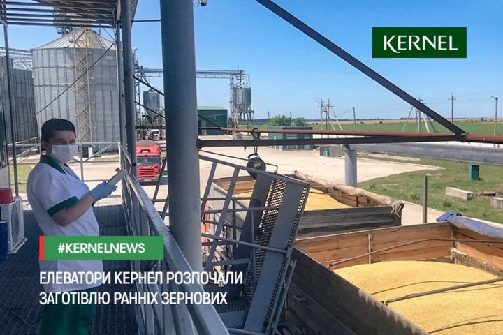 На элеваторах Кернел началась приемка зерна нового урожая